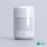 stels_liviMS_001.jpg