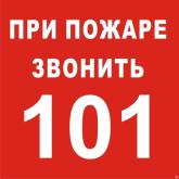 133_big.jpg