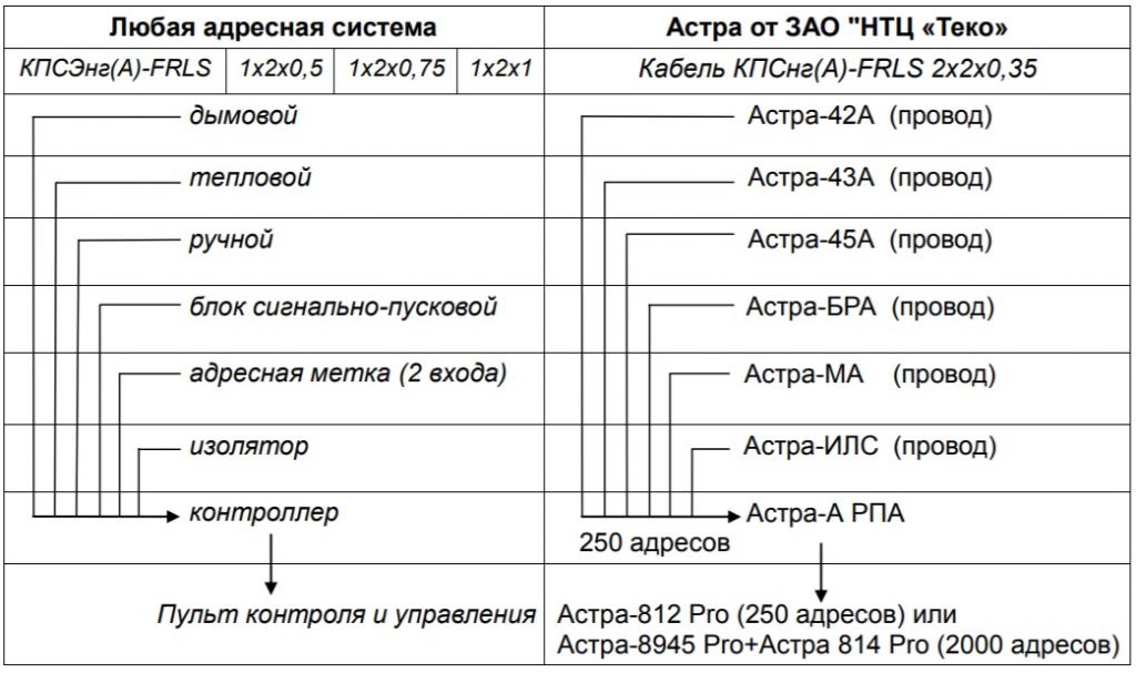 астра.jpg астра.jpg